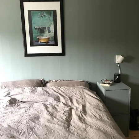 Aid Og Svein' S Sentrumsnaere Panorama Hjem * クリスティアンサン